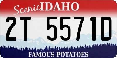 ID license plate 2T5571D