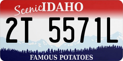 ID license plate 2T5571L