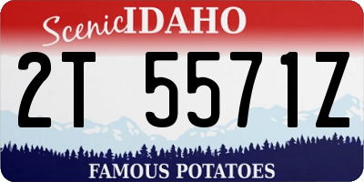 ID license plate 2T5571Z