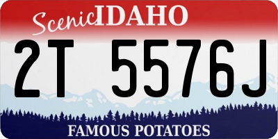 ID license plate 2T5576J