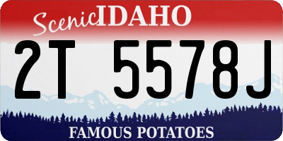 ID license plate 2T5578J