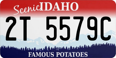 ID license plate 2T5579C