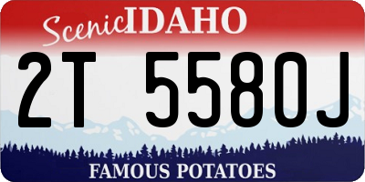 ID license plate 2T5580J
