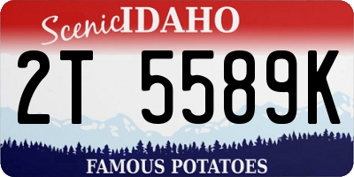 ID license plate 2T5589K