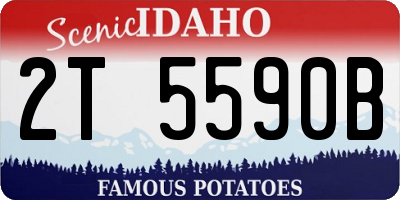 ID license plate 2T5590B