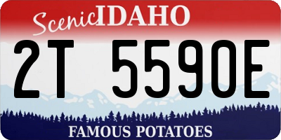 ID license plate 2T5590E