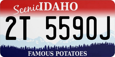 ID license plate 2T5590J