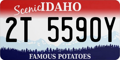 ID license plate 2T5590Y