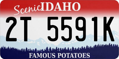ID license plate 2T5591K
