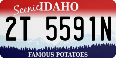 ID license plate 2T5591N