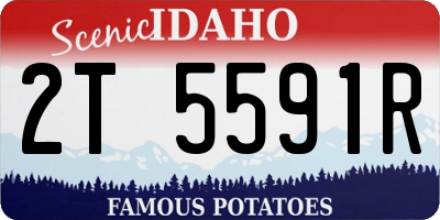 ID license plate 2T5591R