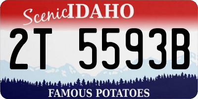 ID license plate 2T5593B