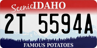 ID license plate 2T5594A