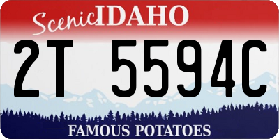 ID license plate 2T5594C