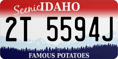 ID license plate 2T5594J