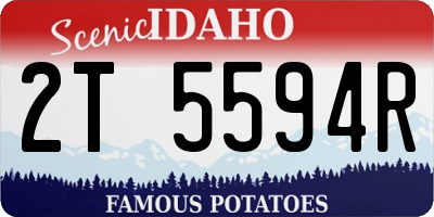 ID license plate 2T5594R