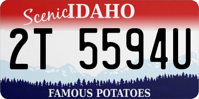 ID license plate 2T5594U