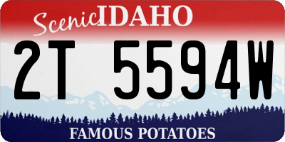 ID license plate 2T5594W