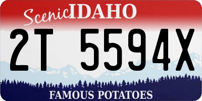 ID license plate 2T5594X