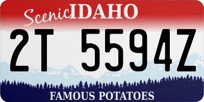 ID license plate 2T5594Z