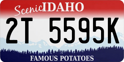 ID license plate 2T5595K