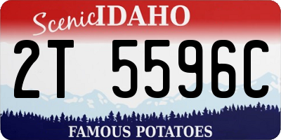 ID license plate 2T5596C
