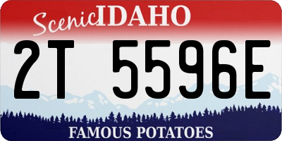 ID license plate 2T5596E