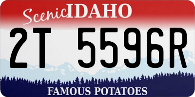 ID license plate 2T5596R