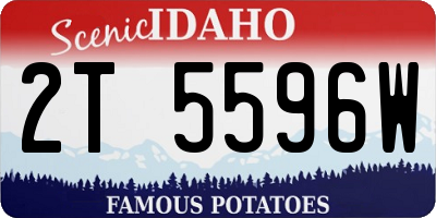 ID license plate 2T5596W
