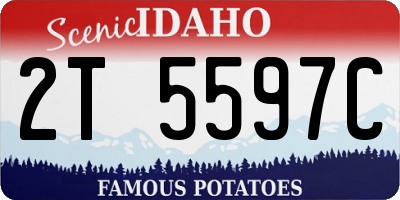 ID license plate 2T5597C