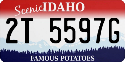 ID license plate 2T5597G