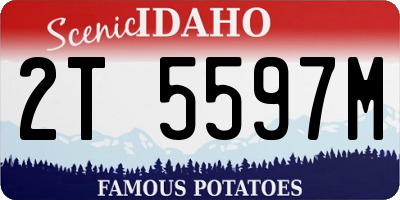 ID license plate 2T5597M