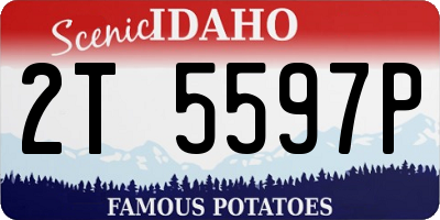 ID license plate 2T5597P
