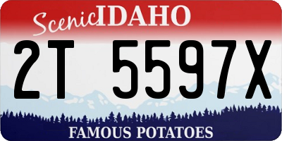 ID license plate 2T5597X