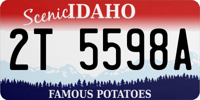ID license plate 2T5598A
