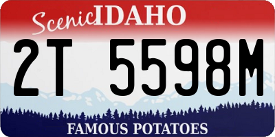ID license plate 2T5598M