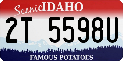 ID license plate 2T5598U
