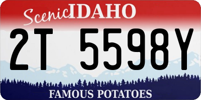 ID license plate 2T5598Y