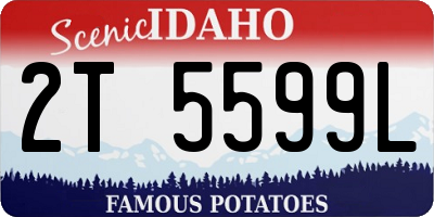 ID license plate 2T5599L