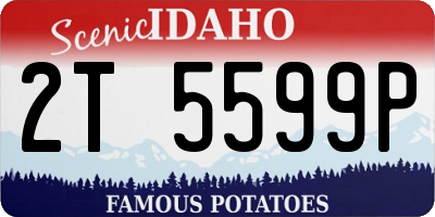 ID license plate 2T5599P