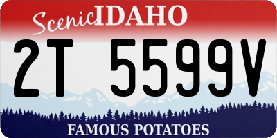 ID license plate 2T5599V