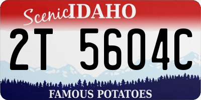 ID license plate 2T5604C
