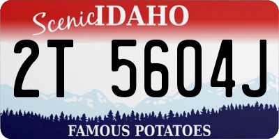 ID license plate 2T5604J