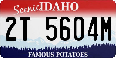 ID license plate 2T5604M