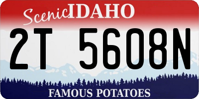 ID license plate 2T5608N