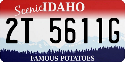 ID license plate 2T5611G