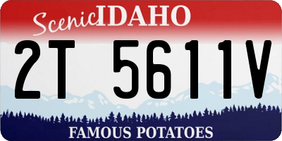 ID license plate 2T5611V