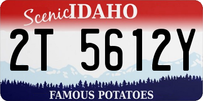 ID license plate 2T5612Y