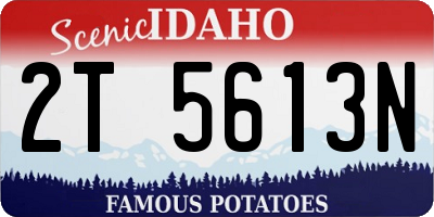 ID license plate 2T5613N