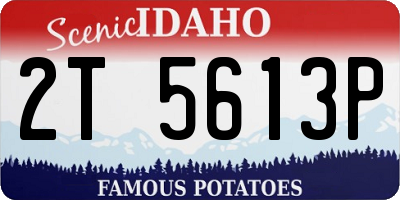 ID license plate 2T5613P